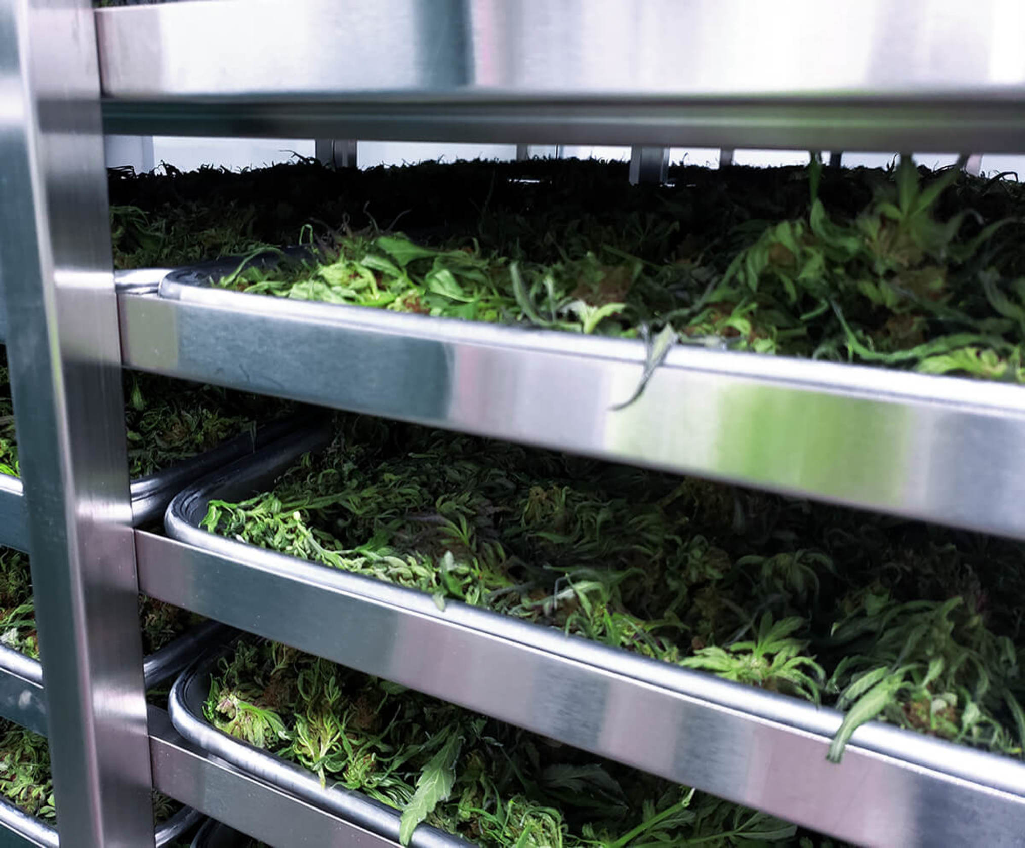 escabiladero-y-bandejas-2