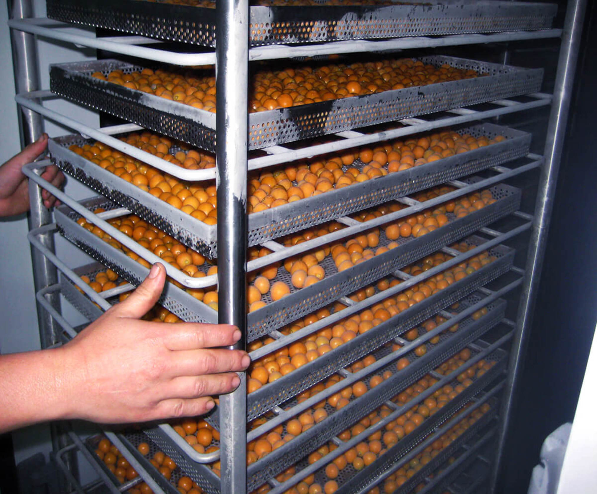 escabiladero-y-bandejas-3