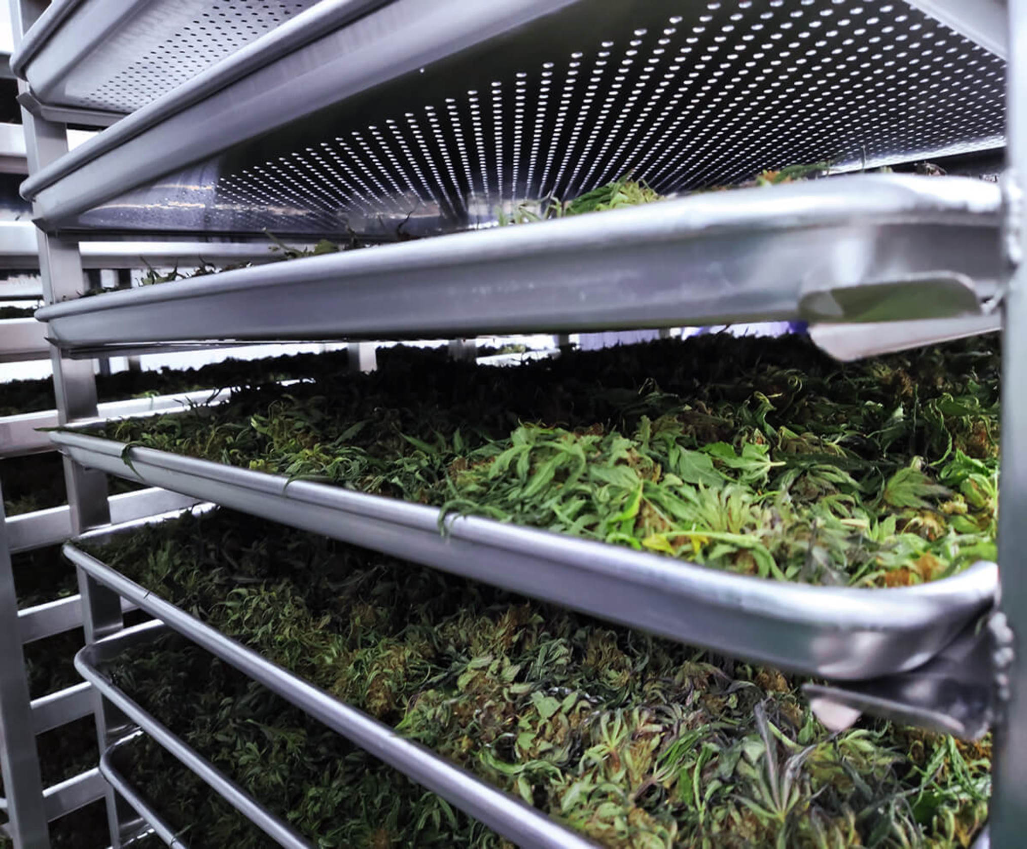 escabiladero-y-bandejas-7