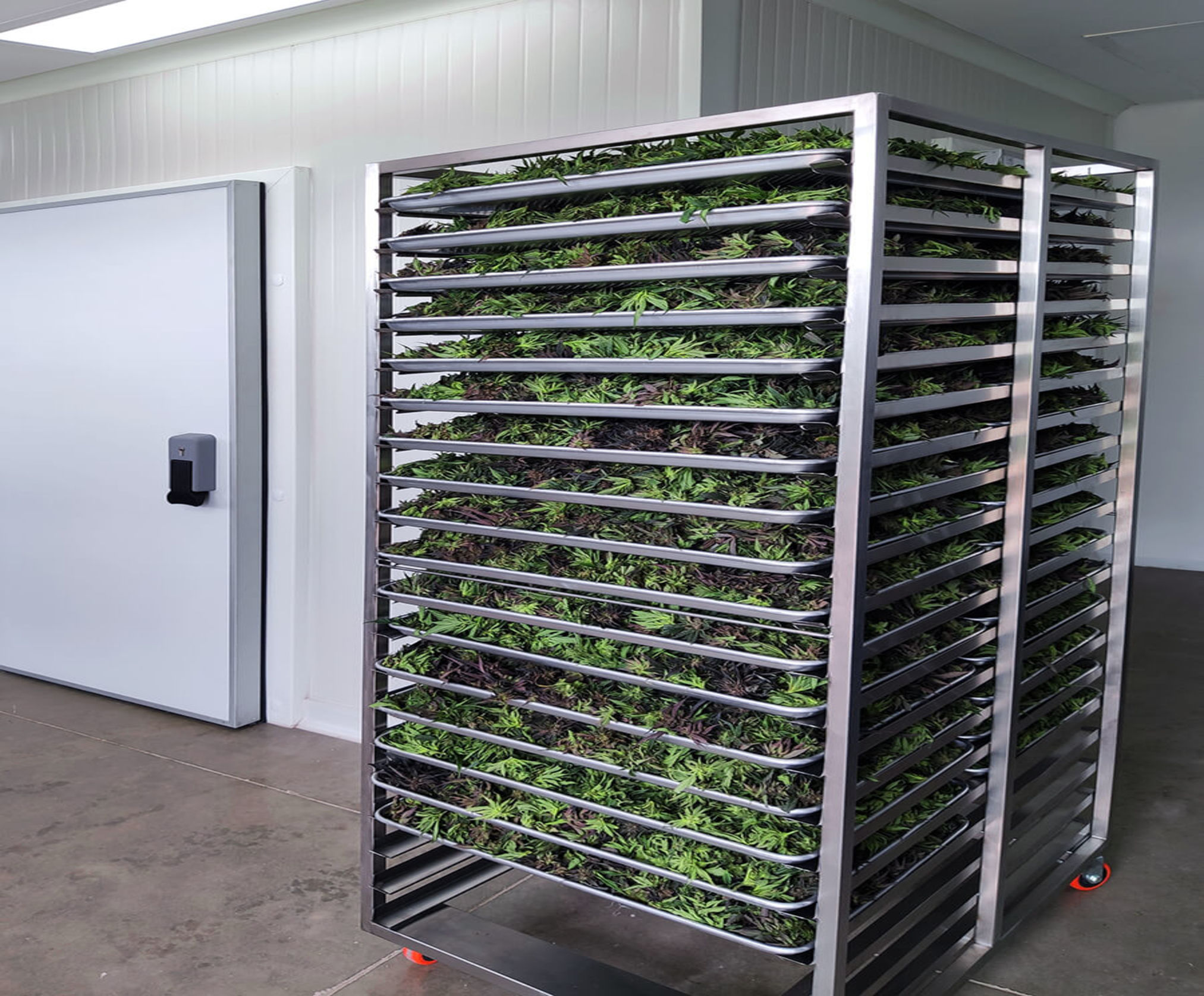 escabiladero-y-bandejas-8